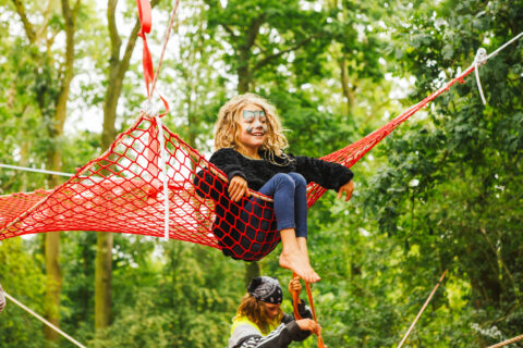 2ce9fd03-0e64-4daf-b1ef-8665b37f4d1d_web