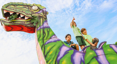 Luis Kramer_Shambala Festival_2025-132 [Web]