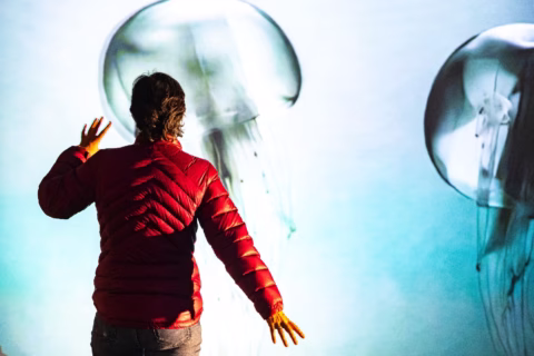 07543434-9957-4d0e-991d-ddf7dfc3e9f6_web