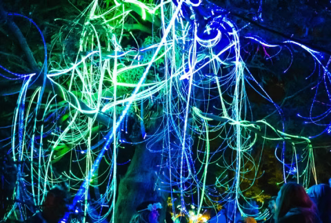 26afc508-36df-4572-a1c1-35388dd4a457_web