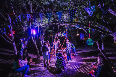 98c3f0c7-7380-4139-9f66-f37f36902ba3_web