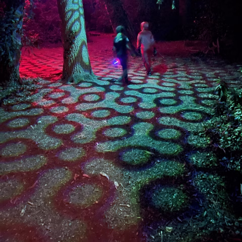 ee7d229b-4004-466a-8b2c-56075f6b515b_web