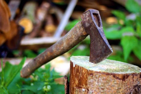 A rusty axe with a wooden handle is embedded in a tree stump outdoors, surrounded by green plants and blurred logs in the background.