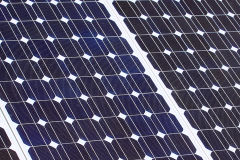 A close-up view of blue solar panels arranged in rows, showing the grid pattern of photovoltaic cells used to capture sunlight and generate renewable energy.