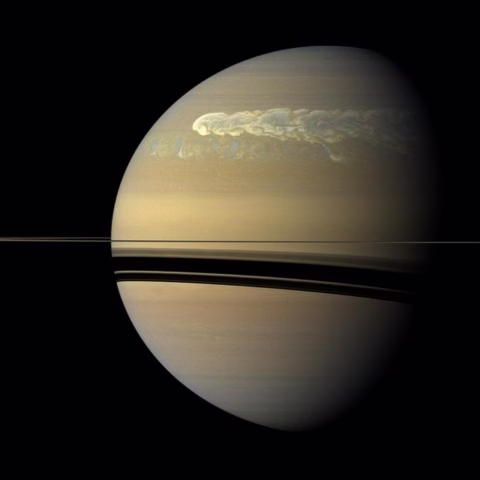 Saturn viewed from space with its rings visible in shadow. A large, swirling storm stretches across the planet's upper hemisphere, showing different shades of yellow, beige, and white in Saturn's atmosphere.