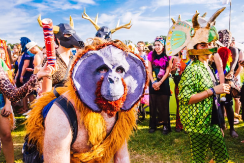 A crowd of people in colourful, elaborate animal costumes gather at an outdoor festival under a blue sky. One person wears an orangutan mask and fur, while others sport masks of a triceratops, antelope, and dragon.