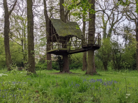 A rustic wooden treehouse with a mossy roof is built among tall trees in a lush, green forest clearing with grass and small purple wildflowers on the ground.