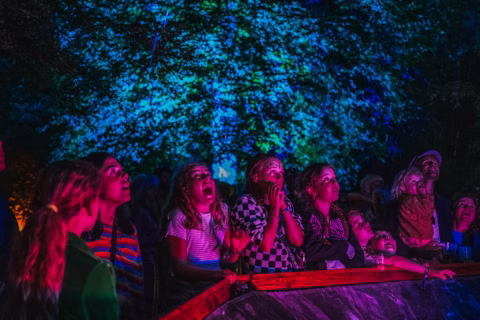 A group of people, mostly children, watch an outdoor light show at night, their faces lit up with excitement and awe as blue, green, and purple lights illuminate the trees behind them.