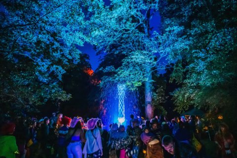 A crowd gathers at night under large trees illuminated with vibrant blue and purple lights, creating a magical forest atmosphere.