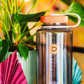 A 1L WATER BOTTLE: SHAMBALA x NALGENE with a clear body and orange lid, featuring the Adventures in Utopia text, rests on a wooden surface beside a green potted plant and a folded pink paper fan.