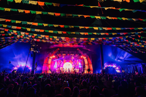 A colourful nighttime concert scene with a crowd watching a band perform on a lit stage under multicoloured hanging flags and festival lights.