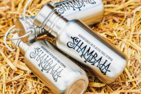 Luis Kramer_Shambala Festival_2025-35 [Web]